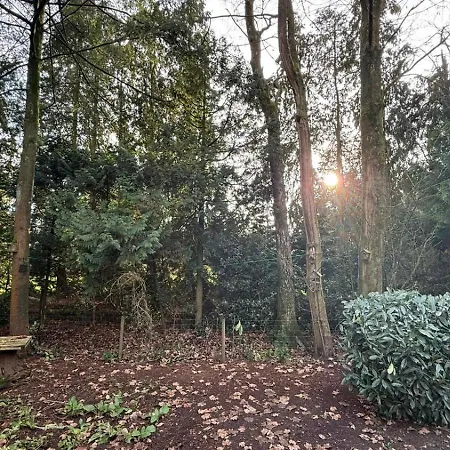 Veluwe - On Park De Eyckenhoff - Nationaal Park De Veluwe アパート プッテン