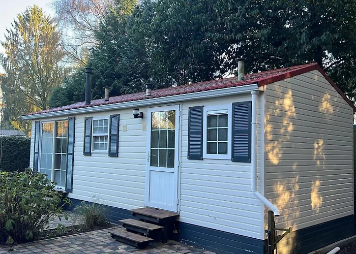 Veluwe - On Park De Eyckenhoff - Nationaal Park De Veluwe *