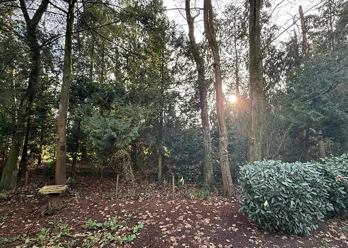 Veluwe - On Park De Eyckenhoff - Nationaal Park De Veluwe Apartment Putten