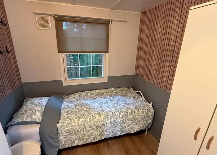 Veluwe - On Park De Eyckenhoff - Nationaal Park De Veluwe