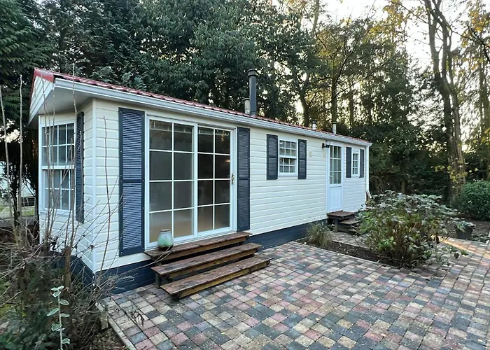 Veluwe - On Park De Eyckenhoff - Nationaal Park De Veluwe Putten